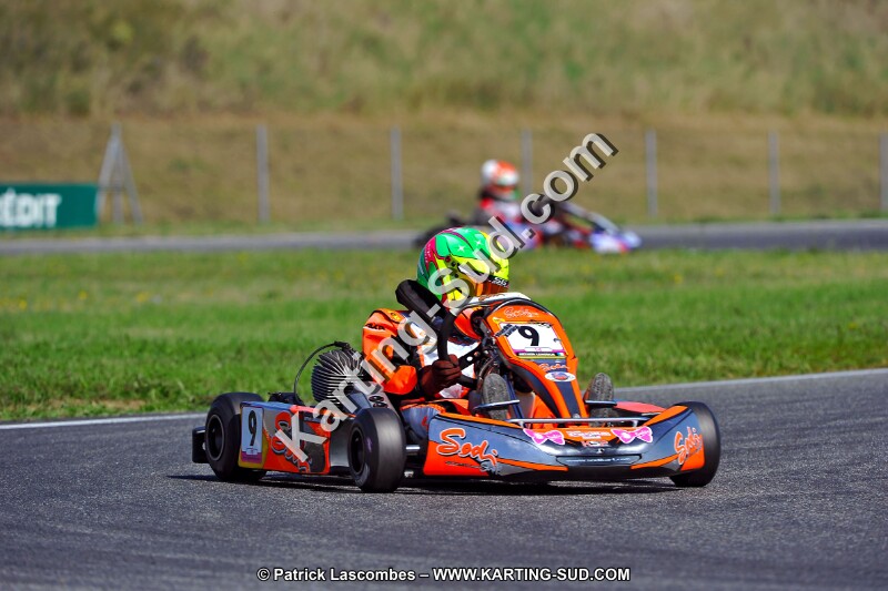 DSC_ (1258).jpg